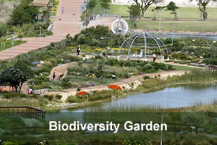 Biodiversity Gardens, Cape Town